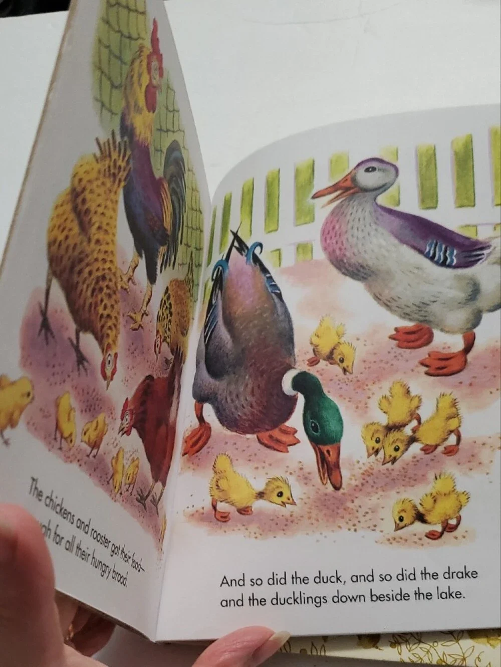 - The Jolly Barnyard Vintage 1978 A Little Golden Book Classic